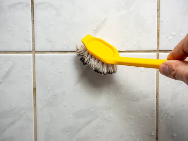 Best Professional Mold Removal  in Silver Lake, OH