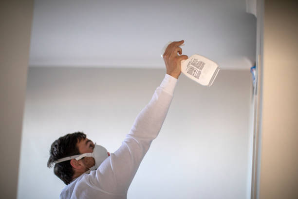Best Mold Removal Process  in Silver Lake, OH
