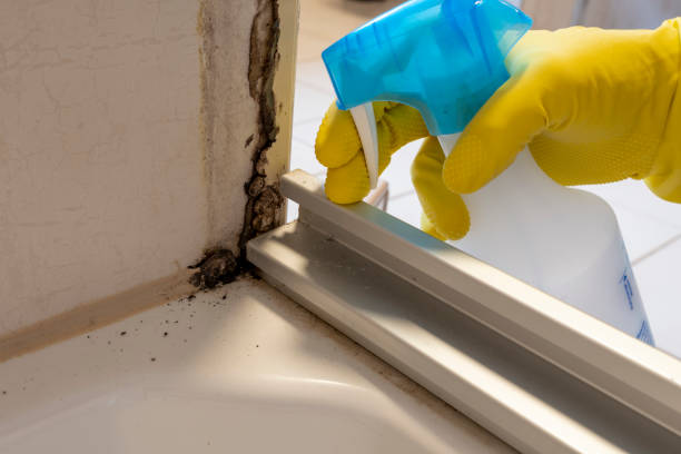 Best Mold Testing  in Silver Lake, OH