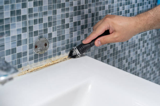 Best Black Mold Removal  in Silver Lake, OH