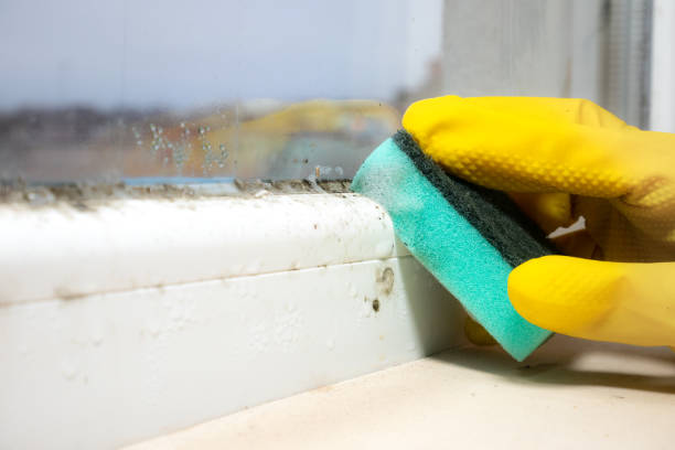 Best Residential Mold Removal  in Silver Lake, OH