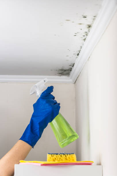 Best Crawl Space Mold Removal  in Silver Lake, OH